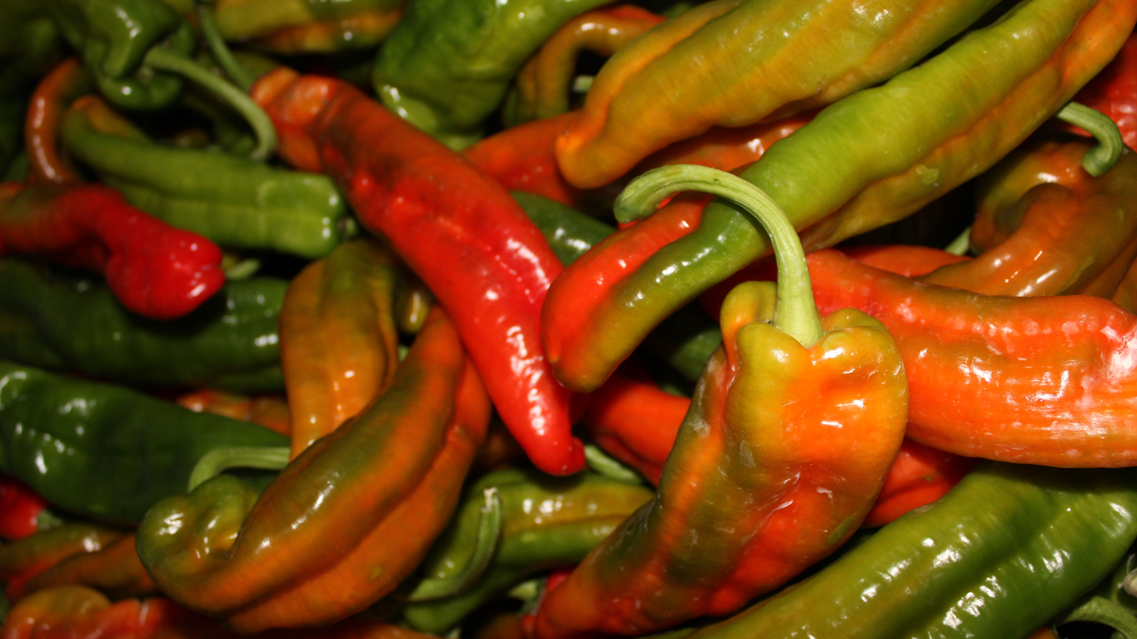 Nuestros productos